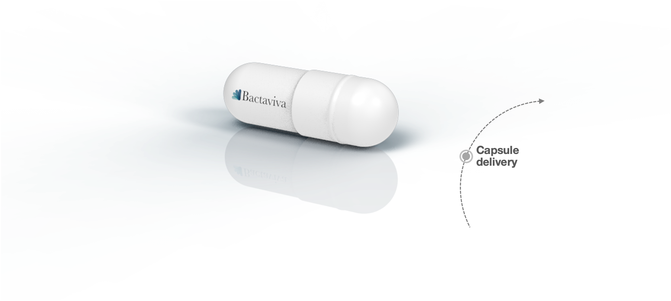 Capsule